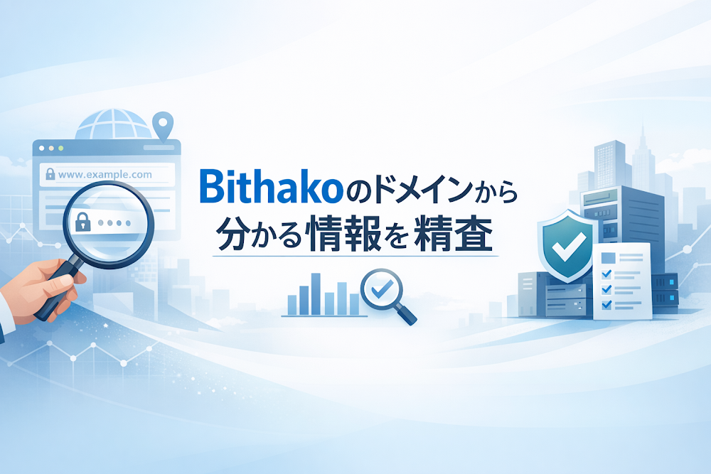 Bithakoのドメインから分かる情報を精査