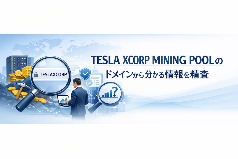 TESLA XCORP MINING POOLのドメインから分かる情報を精査