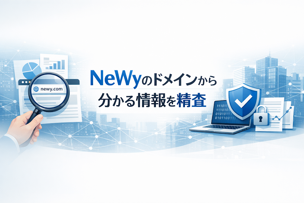 NeWy(newy003.top)のドメインから分かる情報を精査
