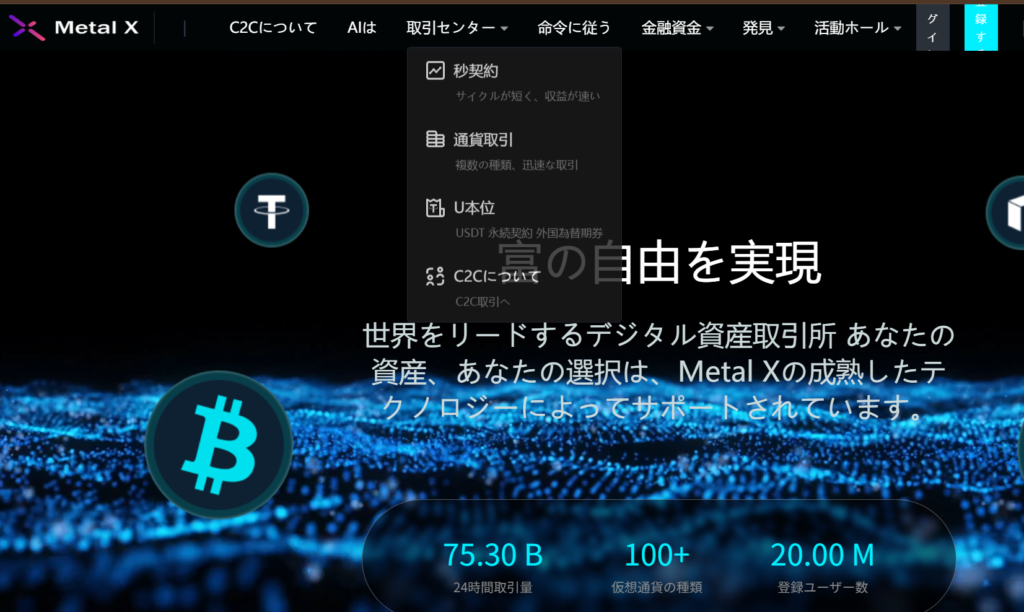 Metal X（metalx.top）とは？